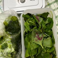 可能是綠葉甘藍、莙薘菜和紫蘇的圖像