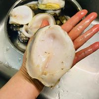 未提供相片說明。