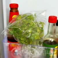 可能是食物和紫蘇的圖像