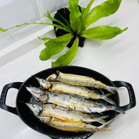 可能是鯷魚的圖像
