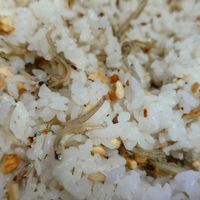 可能是鯷魚的圖像