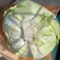 可能是食物的圖像