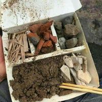 未提供相片說明。