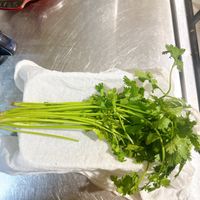 可能是食物的圖像