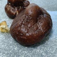 可能是香菇、馬勃菇和蘑菇的圖像