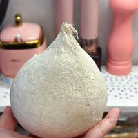 可能是馬勃菇的圖像
