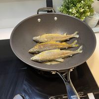 可能是鯷魚的圖像
