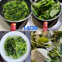 可能是紫蘇和文字的圖像