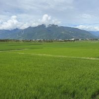 可能是地平線、草、山和雲的圖像