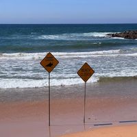 可能是海洋、地平線和海灘的圖像