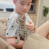 可能是 1 人、小孩和貓的圖像