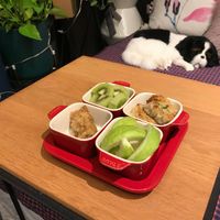 未提供相片說明。