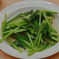 可能是食物的圖像