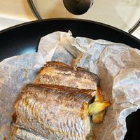 可能是鯷魚的圖像