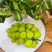 可能是水果、常春藤和顯示的文字是「 S STAUB STAUB STAUB STAUL STAUB 」的圖像