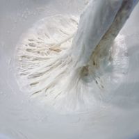 可能是法式長棍麵包的圖像