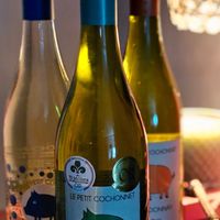 可能是葡萄酒和顯示的文字是「 Mullong OR 专地 LEPETITCOCHONNET PETIT SAUVIGNON VPco fendi'skitchen fendi's kitchen 」的圖像