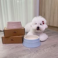 可能是顯示的文字是「 STAUB 」的圖像