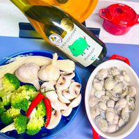 可能是顯示的文字是「 TE STANE O V ရှ OR EPETIT PETITCOCHONNET COCHONNET wA SAUVIGNON Vpco BUULS 」的圖像