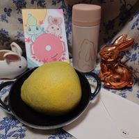 可能是文字的圖像