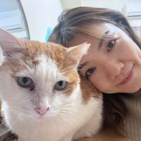 可能是 1 人和貓的圖像
