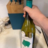 可能是‎顯示的文字是「 ‎LEPETIT لما PETIT COCHONNET ម SAUMIGNON TSanL SAUVIGNON Pco‎ 」‎的圖像