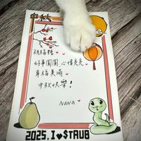 可能是顯示的文字是「祝不后捨 祝不福捨 好事圓 好事圓圓心情美元 心情亮亮 幸福美涌 中我快樂！ Nava 2025. 2025.I$TAUB I STAUB 」的插圖
