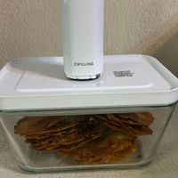 可能是文字的圖像