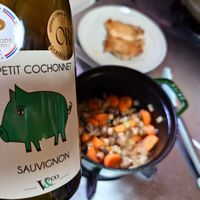 可能是‎顯示的文字是「 ‎Pen L 70 Aillions DE GUSTATZUES OR OR France France CLSERTE GILBERT LE PETIT COCHONNET الم SAUVIGNON SAUVIGNON Veco و‎ 」‎的圖像