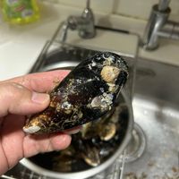 未提供相片說明。