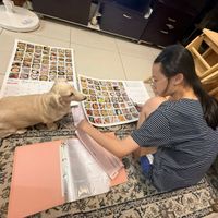可能是 1 人、狗、懶猴和文字的圖像