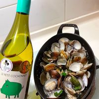 可能是‎顯示的文字是「 ‎seleetios Millions cettions TATEΟИE TEURE Op Frone للال LE PETIT COCHONNET SAUVIGNON Ve00‎ 」‎的圖像