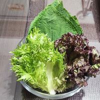 可能是綠葉甘藍和紫蘇的圖像