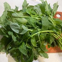 可能是莙薘菜、綠葉甘藍和紫蘇的圖像