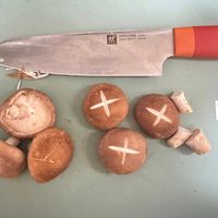 可能是刀、香菇、蘑菇和馬勃菇的圖像