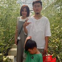 未提供相片說明。