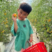 未提供相片說明。