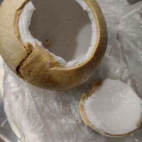 可能是椰子的圖像