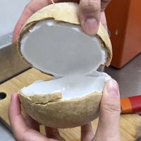 可能是椰子和甜點的圖像