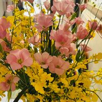 可能是黃色茉莉花、滿天星、洋桔梗和勿忘草的圖像