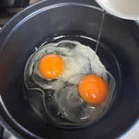 可能是蛋黃和水波蛋的圖像