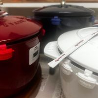 可能是慢燉鍋的圖像