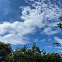 可能是雲和樹的圖像