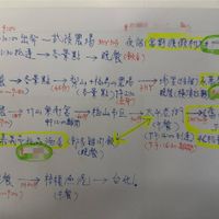可能是文字的圖像