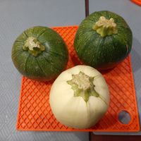 可能是文字的圖像