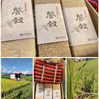 可能是文字的圖像
