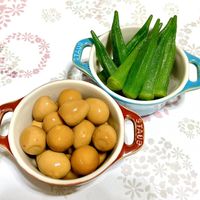 可能是顯示的文字是「 STAUB VSTAUS STAU? B TAU STAUB 5 STAUB 」的圖像