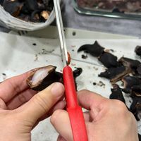 未提供相片說明。