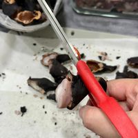 可能是香菇和蘑菇的圖像