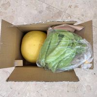 可能是水果的圖像